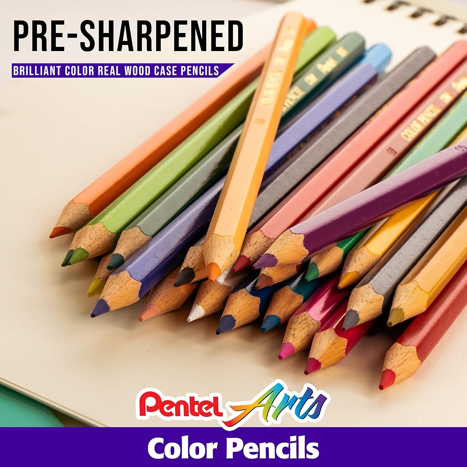 image:imagePentel Arts Watercolor Pencils 24 Package Assorted CB924Color Pencil