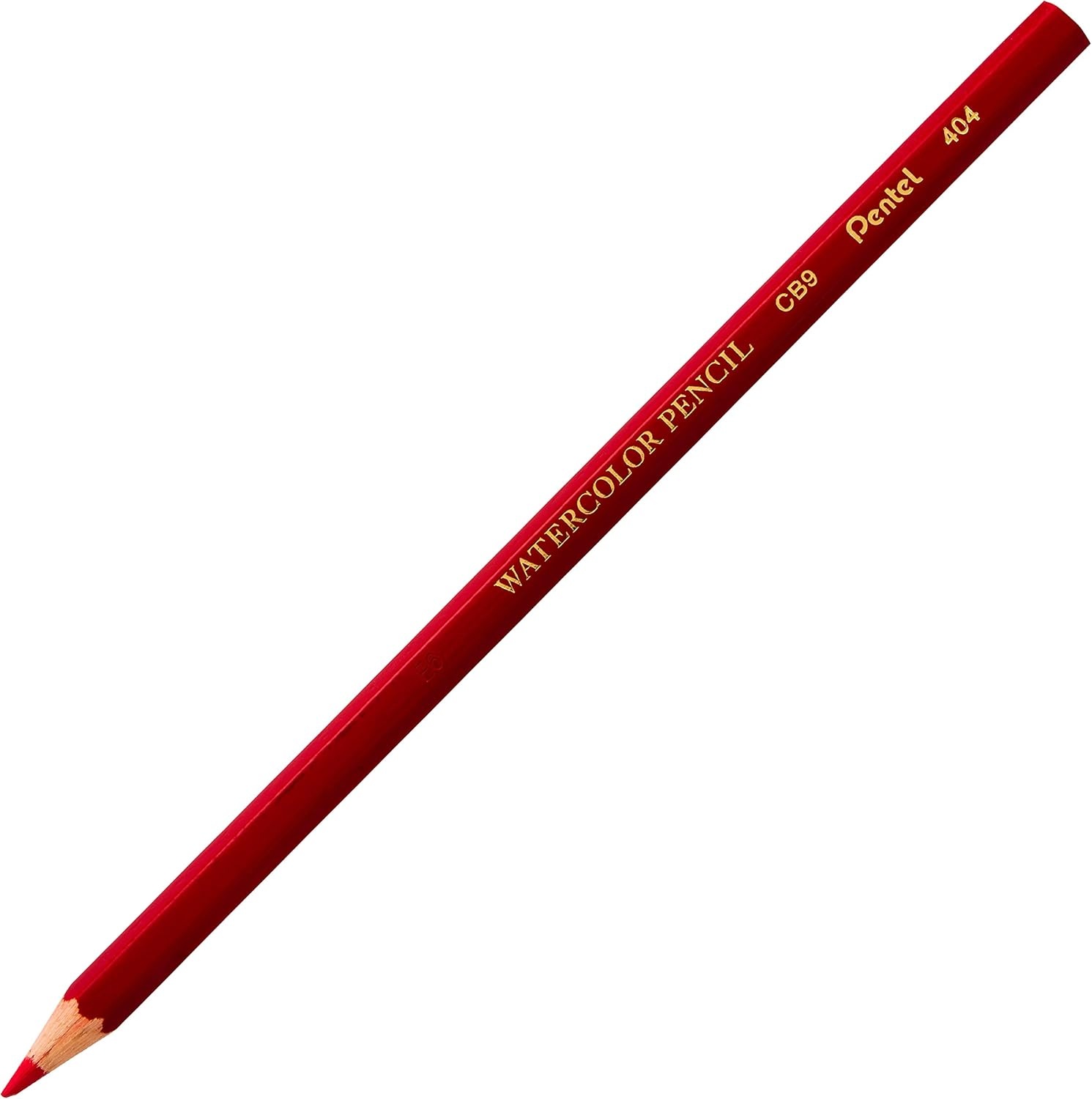 image:imagePentel Arts Watercolor Pencils 24 Package Assorted CB924Watercolor Pencil