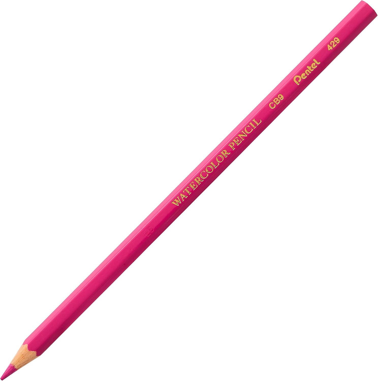 image:imagePentel Arts Watercolor Pencils 24 Package Assorted CB924Watercolor Pencil
