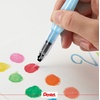 image:imagePentel Arts Aquash Pigment Ink Brush Light Black Ink Pack of 1 FRHMNBPA MediumFine