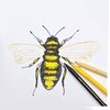 image:imagePentel Arts Color Pen 12Color Set S36012Set of 12