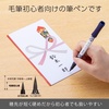 image:imagePentel XGFD40CA1A Brush Pen Pentel Brush Feather PatternArrow feather pattern