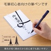 image:imagePentel XGFD40CA1A Brush Pen Pentel Brush Feather Patternhaze pattern