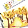 image:imagePentel 25 Color Oily Pastel Chalk PHN25