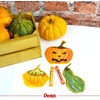 image:imagePentel 25 Color Oily Pastel Chalk PHN25