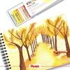 image:imagePentel 25 Color Oily Pastel Chalk PHN25