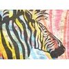 image:imagePentel Arts Oil Pastels Assorted colours 1 pack of 25 sticks1 Count Pack of 50