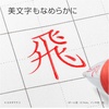 image:imagePentel BL77B EnerGel Ink Ballpoint Pen 07 Red 10 Pieces003 inch 07 mm Red Silver Shaft