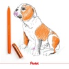 image:imageIZEE BALLPOINT PEN 10MM TIP ORANGE INK BX460FORANGE